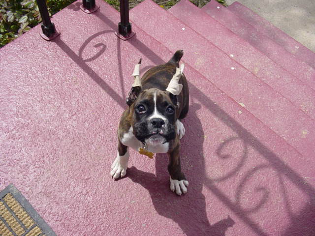 Let me in!!