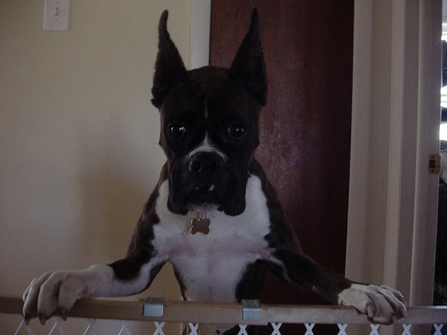 Let me in!!