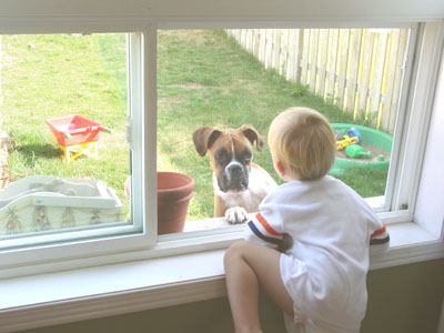 Let me out/Let me in!