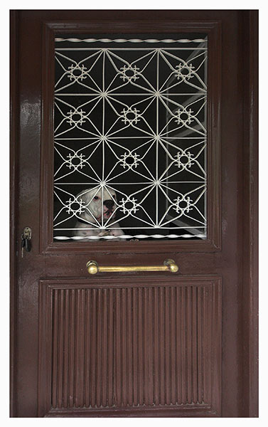 Let me out!