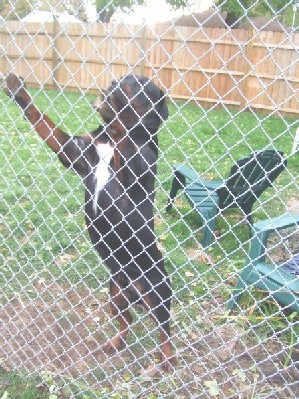 Let me out!!!!