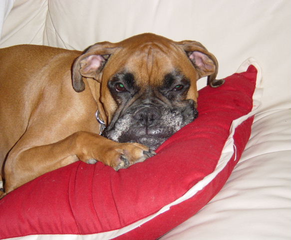 Let me sleep...