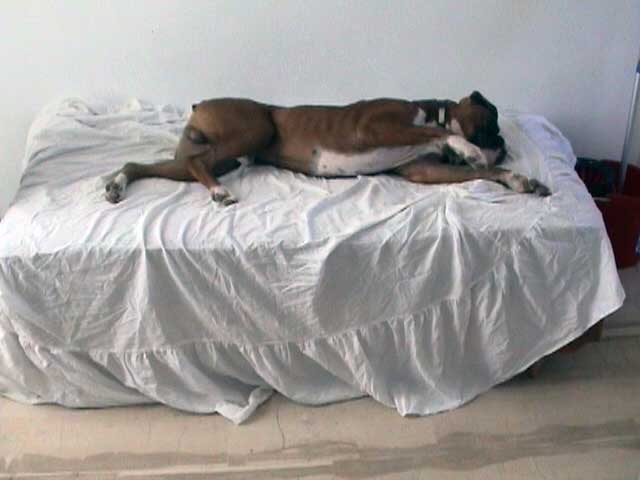 let me sleep...