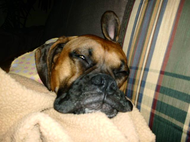 Let me sleep!