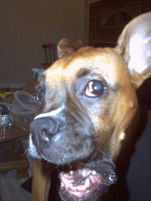 Let me tell you a thing or two