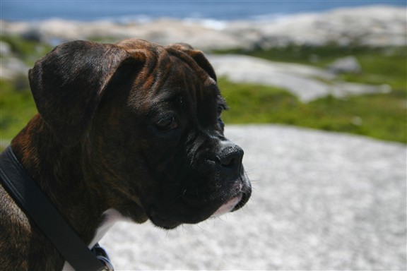 Let me think about it, Dad.....