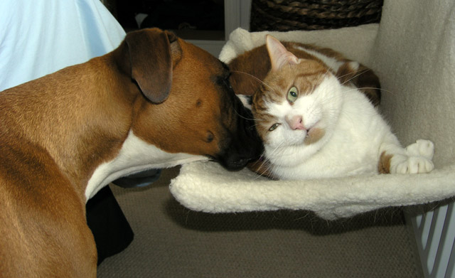 Let Me Whisper in Your Ear