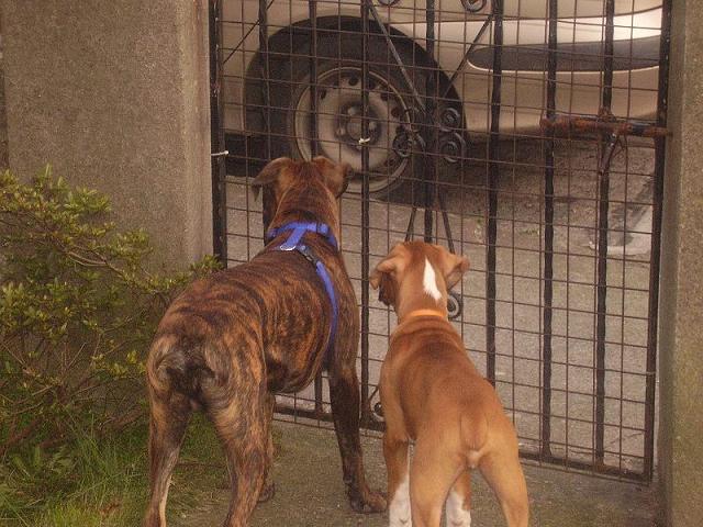 Let us out!