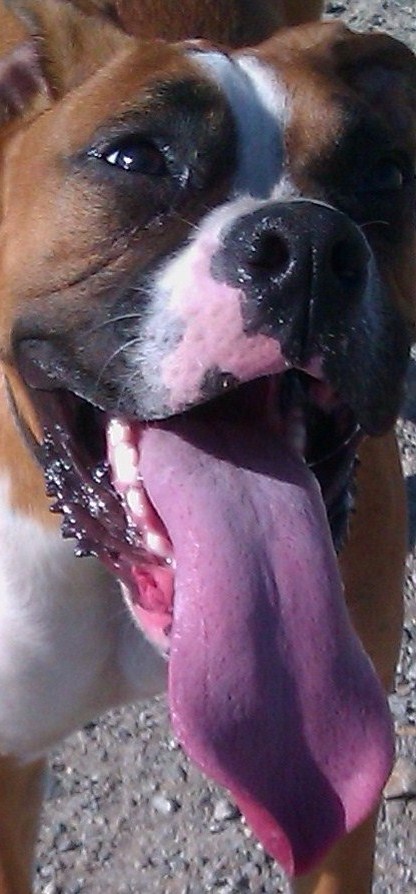 Lethal tongue!