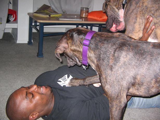 lets get him while he's down