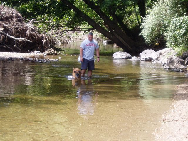 Lets go for a walk dad!