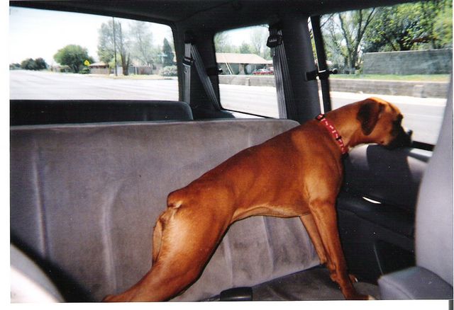 Lets go Mom!