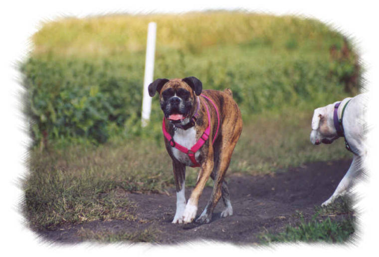 Let's go mom!