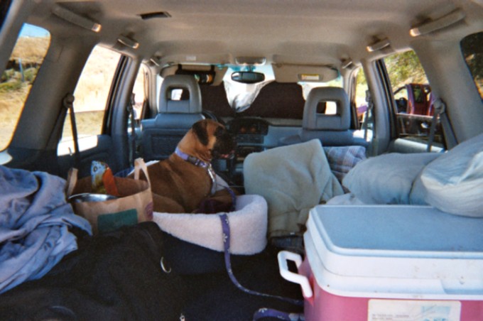 Let's go now!