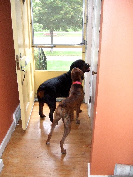 Let's go outside!