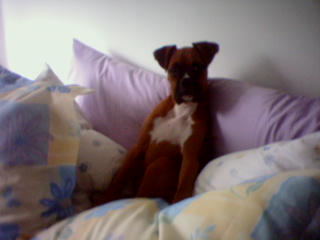 Lets Go to Bed