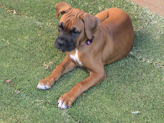 let's play in the grass