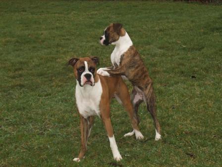 Lets play Leap Frog!