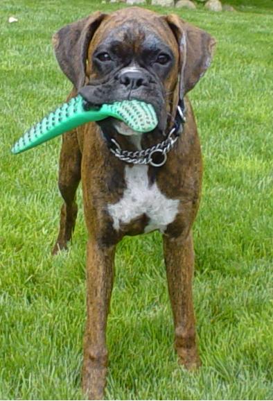 Lets Play!
