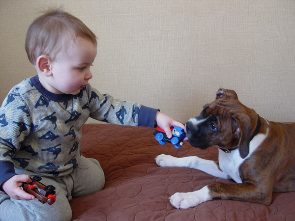 Lets Play