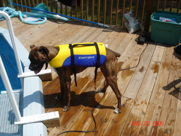 Let's Swim!