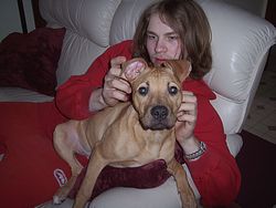Levi and his puppy