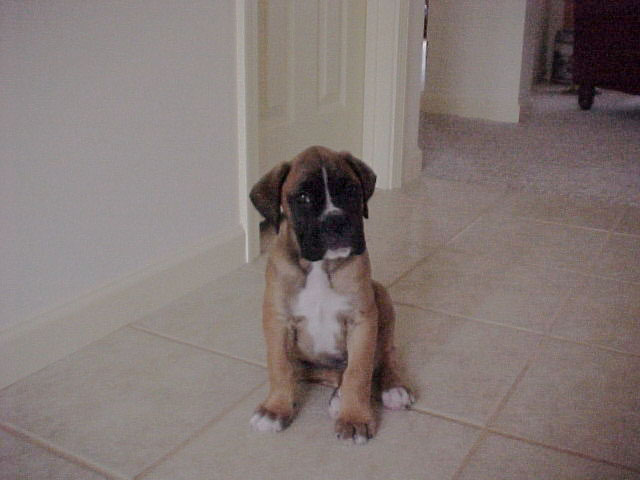 Levi's first picture