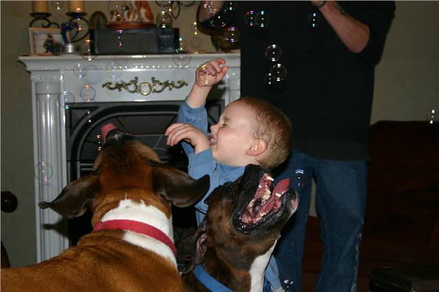 Lex and Luke sharing their bubbles