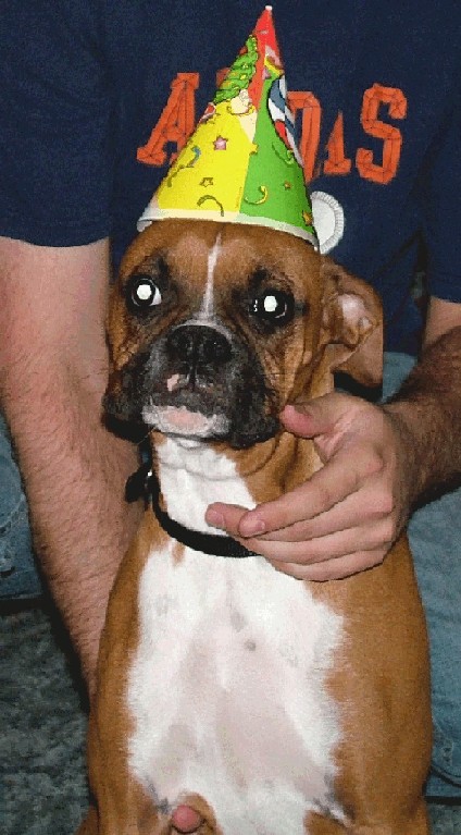 Lexi @ Camrons Birthday