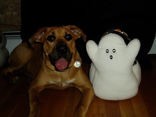 Lexi & Ghosts