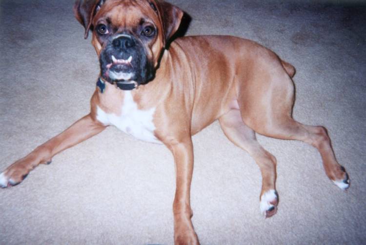 Lexi posing