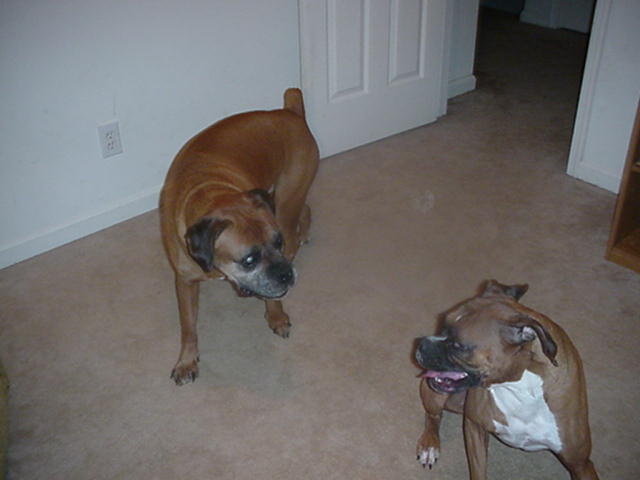 Lexi Says come and get me if you can