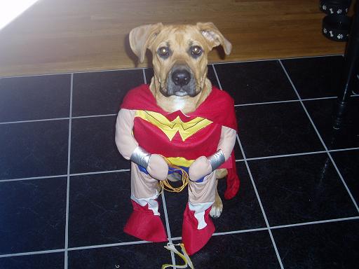Lexi's Halloween costume!