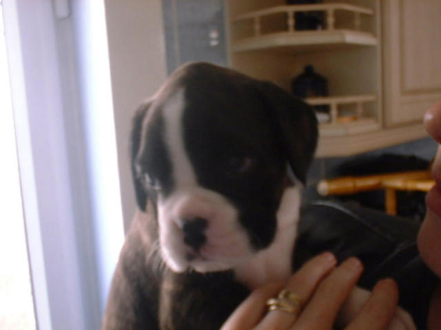 lexy_at_5_weeks