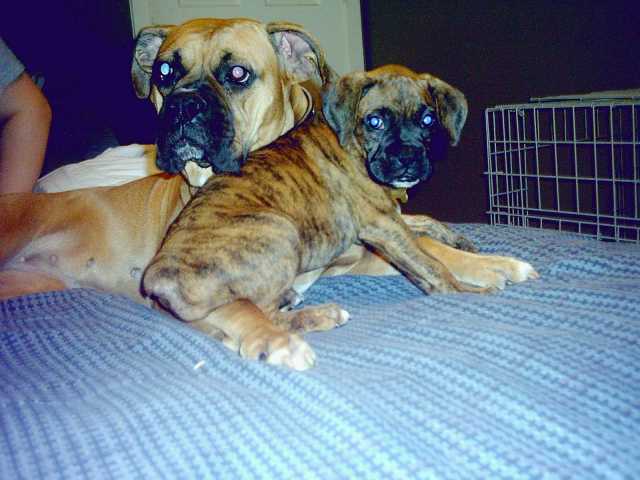 Libby and Madison's first pic together