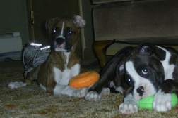 Libby and Tucker