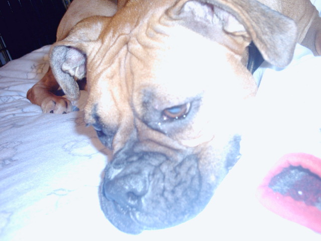 Libby Hamming it Up