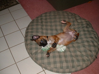 Libby Playing