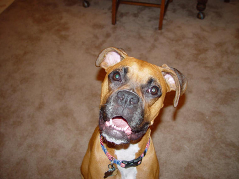 Libby Smiling