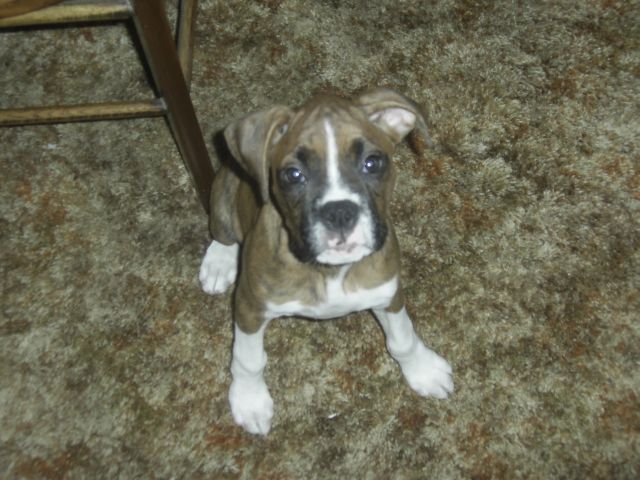 Libby under 3 months