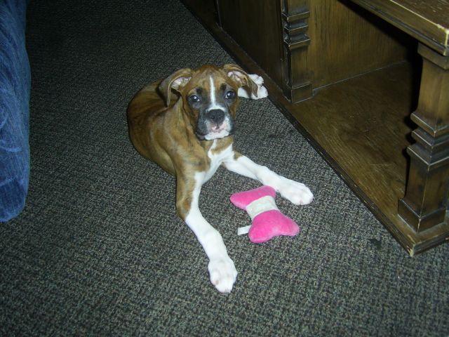 Libby with a favorite toy