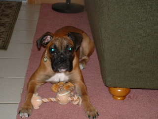 Libby1