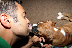 Lick-o-holic