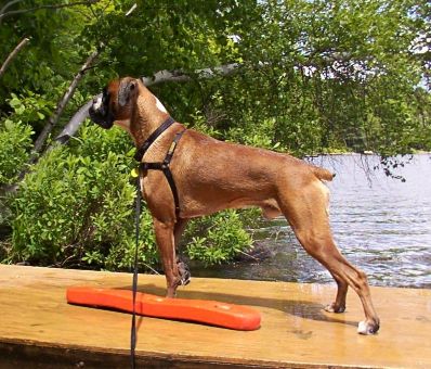 Life guard!