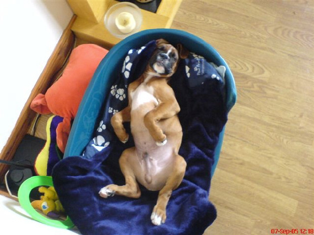 life is sooo hard