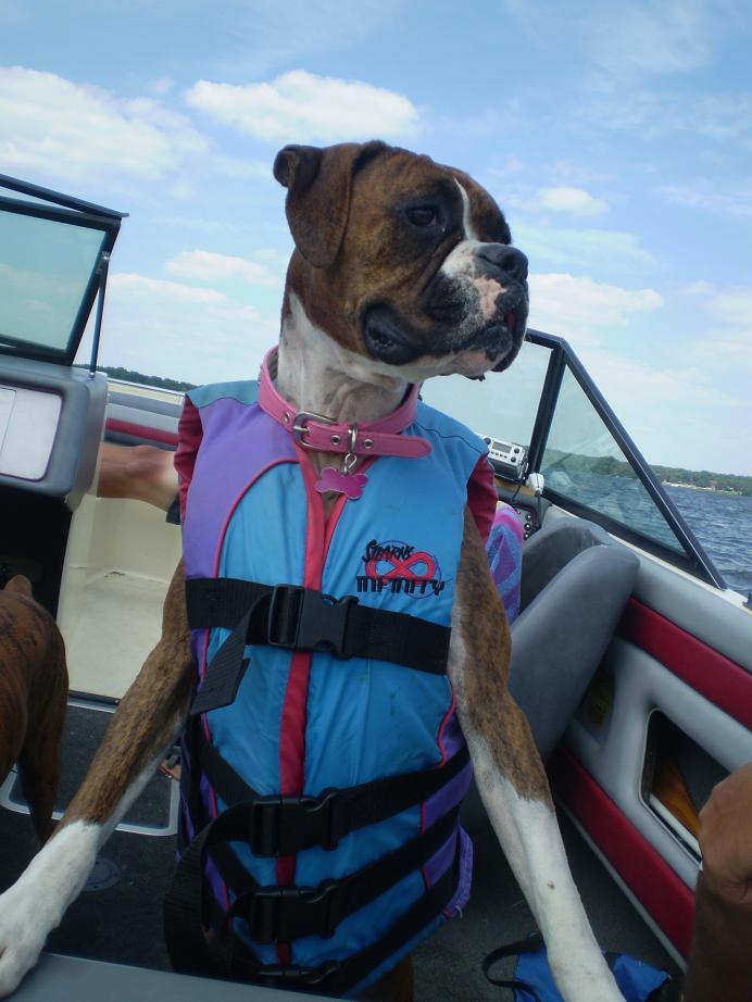 Lifejacket