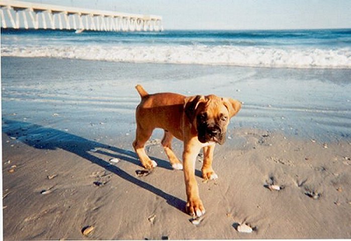 Lifes a beach