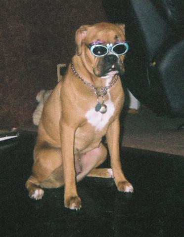 Life's so bright I gotta have shades