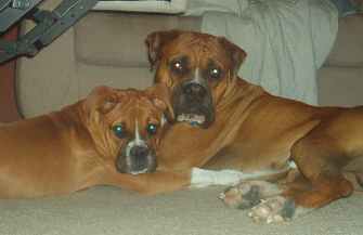Like Father Like Son