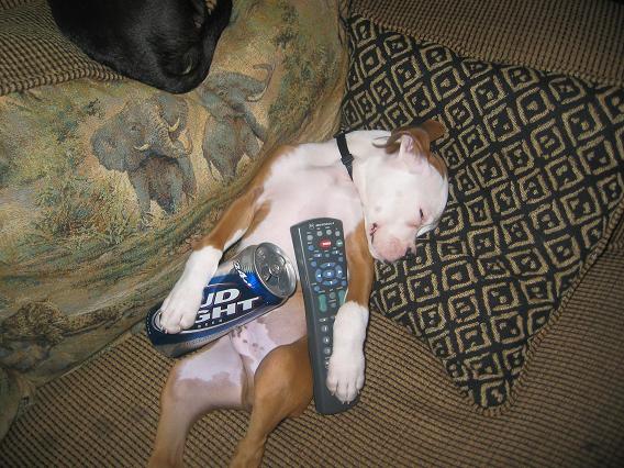 like father, like son!